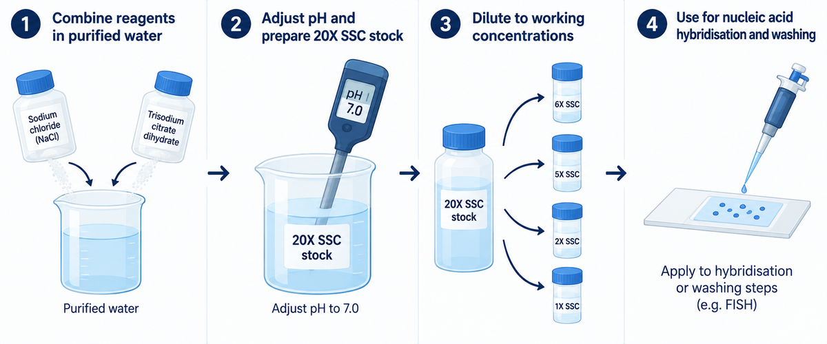 20X SSC buffer preparation and hybridisation workflow