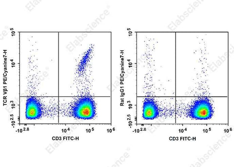 Anti-Human TCR Vβ1 Antibody [BL37.2] - ABMIUM