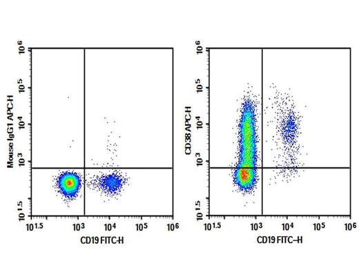 Anti-Human CD38 Antibody [HB-7] - ABMIUM