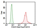 Anti-Human FOLR1 Antibody [LK26] - ABMIUM