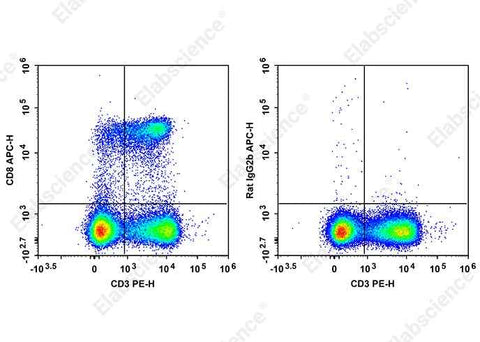 Anti-Mouse CD8 Antibody [YTS-169] - ABMIUM