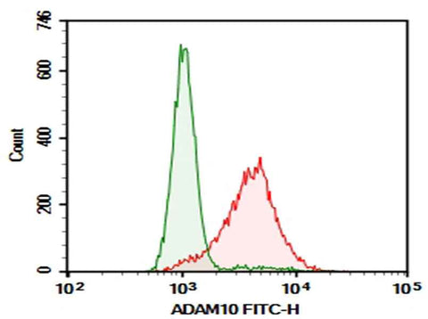 Anti-Human ADAM10 Antibody [11G2] - ABMIUM
