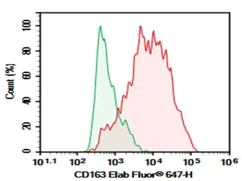Anti-Human CD163 Antibody [MAC2-158] - ABMIUM