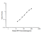 Human GP39(Glycoprotein 39, Cartilage) ELISA Kit - ABMIUM