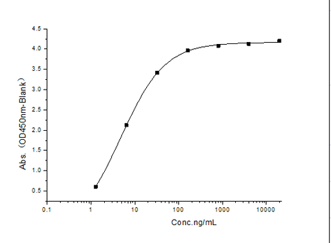 Measured by its binding ability in a functional ELISA. Immobilized TNFRSF17 (Cat: PKSH031502) at 10 μg/mL (100 μL/well) can bind Fc-BAFF/Biotin (Cat: PKSH031910), the EC<sub>50</sub> of Fc-BAFF/Biotin (Cat: PKSH031910) is 1.0-10.0 ng/mL.