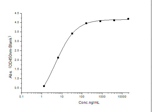 Measured by its binding ability in a functional ELISA. Immobilized TNFRSF17 (Cat: PKSH031502) at 10 μg/mL (100 μL/well) can bind Fc-BAFF/Biotin (Cat: PKSH031910), the EC<sub>50</sub> of Fc-BAFF/Biotin (Cat: PKSH031910) is 1.0-10.0 ng/mL.