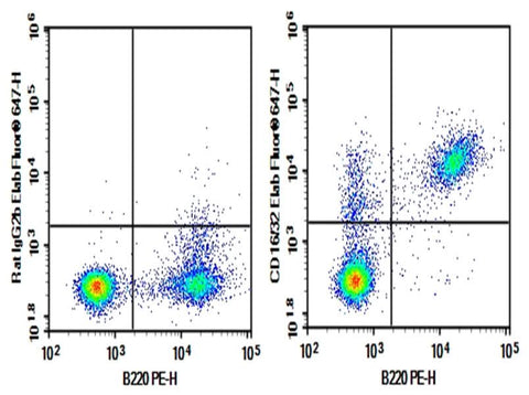 C57/BL6 Mouse splenocytes were stained with 0.2 μg AF/LE Purified Anti-Mouse CD16/32 Antibody[2.4G2] (Right) and 0.2 μg Rat IgG2b, κ Isotype Control (Left), followed by Elab Fluor<sup>®</sup> 647-conjugated Goat Anti- Rat IgG Secondary Antibody, then anti-Mouse B220 PE-conjugated Monoclonal Antibody.