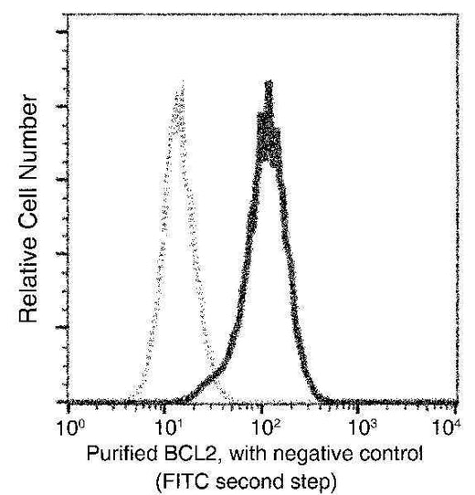 Anti-Human BCL2 Antibody [A1142] - ABMIUM