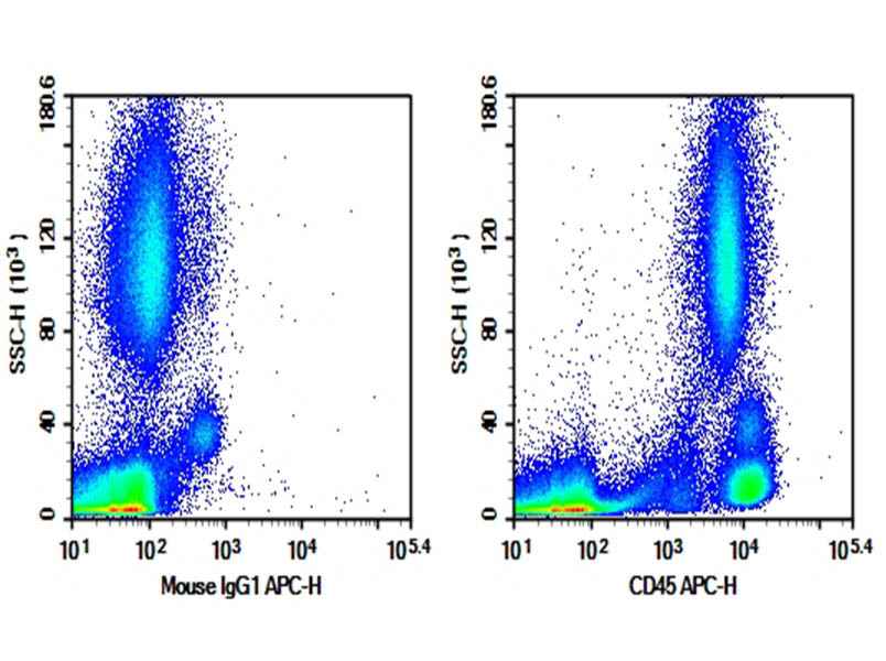 Anti-Human CD45 Antibody [2D1] - ABMIUM