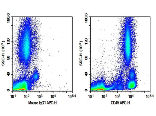 Anti-Human CD45 Antibody [2D1] - ABMIUM