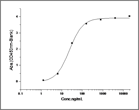 Measured by its binding ability in a functional ELISA. Immobilized human IL-33 at 10 μg/ml (100 μl/well) can bind human IL1RL1 / Fc Chimera with a linear range of 0.31-5 ng/ml.