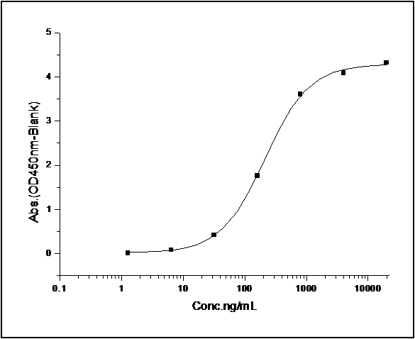 Measured by its binding ability in a functional ELISA. Immobilized Rat CD47-His at 10 μg/ml (100 μl/well) can bind mouse SIRPA-Fc (Cat: PKSM040420), The EC<sub>50</sub> of mouse SIRPA-Fc (Cat: PKSM040420) is 0.6-1.4 μg/ml.
