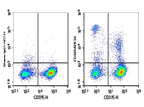 Rat splenocytes were stained with 0.2 μg Purified Anti-Rat CD161 Antibody[OX-49] (3.2.3) and 0.2 μg Mouse IgG1, κ Isotype Control (Left), followed by APC-conjugated Goat Anti-Mouse IgG Secondary Antibody, then anti-Human CD19 PE-conjugated Monoclonal Antibody.