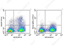 Anti-Mouse CX3CR1 Antibody [SA011F11] - ABMIUM