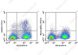 Anti-Mouse CX3CR1 Antibody [SA011F11] - ABMIUM
