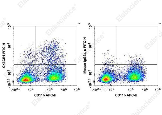 Anti-Mouse CX3CR1 Antibody [SA011F11] - ABMIUM
