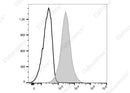 Anti-Human CD164 Antibody [67D2] - ABMIUM