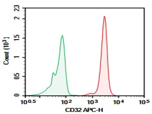 Anti-Human CD32 Antibody [FUN-2] - ABMIUM
