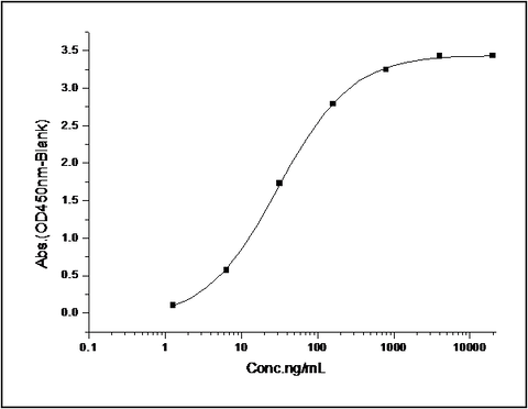 Immobilized human His-NKG2D (78-216) (Cat: PKSH031517) at 10 μg/ml (100 μl/well) can bind human MICB-Fch, The EC<sub>50</sub> of human MICB-Fch is 15.9-37.1 ng/ml.