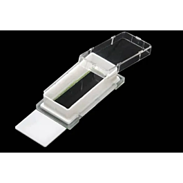 Nest Cell Culture Chamber Slides, 1 well w/glass slide, White, 9.40 cm2, 2.5-5.5ml, 6/pk, 12/cs — NEST Cat. No. 230121