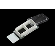 Nest Cell Culture Chamber Slides, 2 well w/glass slide, White, 4.55 cm2, 1.2-2.5ml, 6/pk, 12/cs — NEST Cat. No. 230122