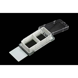 Nest Cell Culture Chamber Slides, 2 well w/glass slide, White, 4.55 cm2, 1.2-2.5ml, 6/pk, 12/cs — NEST Cat. No. 230122