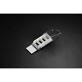 Nest Cell Culture Chamber Slides, 4 well w/glass slide, White, 2.13 cm2, 0.5-1.3ml, 6/pk, 12/cs — NEST Cat. No. 230124