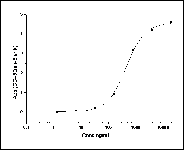 Immobilized human rat FCGR2B-His (Cat: PKSR030402) at 10 μg/ml (100 μl/well) can bind biotinylated human IgG1, The EC<sub>50</sub> of biotinylated human IgG1 is 0.3-0.8 μg/ml.