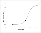 Immobilized human rat FCGR2B-His (Cat: PKSR030402) at 10 μg/ml (100 μl/well) can bind biotinylated human IgG1, The EC<sub>50</sub> of biotinylated human IgG1 is 0.3-0.8 μg/ml.