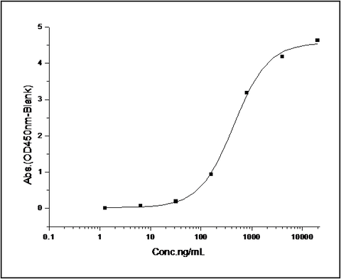 Immobilized human rat FCGR2B-His (Cat: PKSR030402) at 10 μg/ml (100 μl/well) can bind biotinylated human IgG1, The EC<sub>50</sub> of biotinylated human IgG1 is 0.3-0.8 μg/ml.