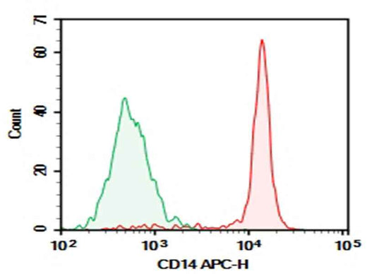 Anti-Human CD14 Antibody [H332-10A12] - ABMIUM