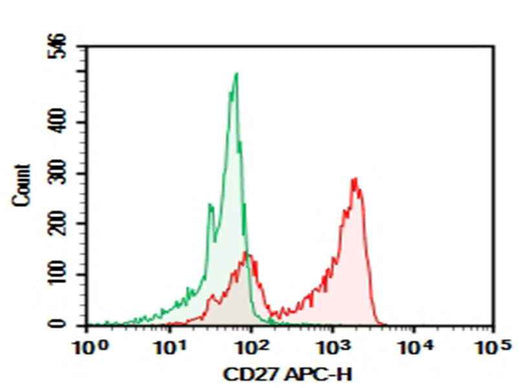 Anti-Human CD27 Antibody [HIBQ27-1] - ABMIUM