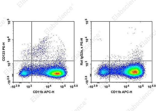 Anti-Mouse CD123 Antibody [5B11] - ABMIUM
