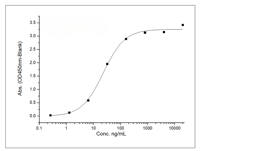 Immobilized Recombinant Human Frizzled-5 / FZD5 Protein (His Tag) (Cat: PKSH031583) at 2μg/mL (100μL/well) can bind pan-FZD antibody, Human IgG2, the EC<sub>50</sub> is 12-36 ng/mL.