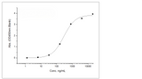 Immobilized Monoclonal Anti-Human CD19 Antibody (IgG1) at 2 μg/mL (100 μL/well) can bind Recombinant Human CD19 / Leu-12 Protein (ECD,His Tag) (Cat: PKSH030468), the EC<sub>50</sub> is 120-410 ng/mL. (QC tested)