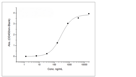 Immobilized Monoclonal Anti-Human CD19 Antibody (IgG1) at 2 μg/mL (100 μL/well) can bind Recombinant Human CD19 / Leu-12 Protein (ECD,His Tag) (Cat: PKSH030468), the EC<sub>50</sub> is 120-410 ng/mL. (QC tested)