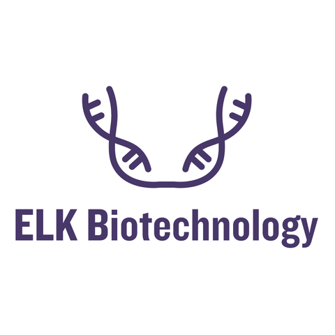 Agarose