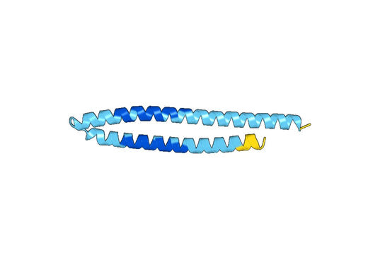 10 kDa culture filtrate protein (esxB)GST Tag