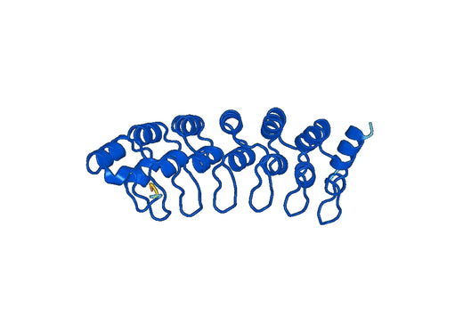26S proteasome non-ATPase regulatory subunit 10(PSMD10)