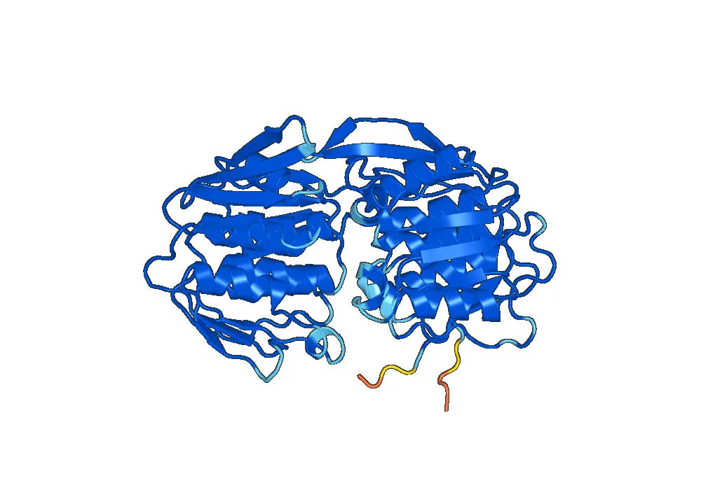 3-phosphoshikimate 1-carboxyvinyltransferase(aroA)