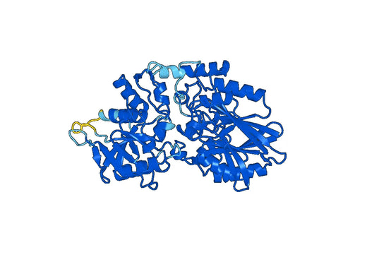 5'-nucleotidase(NT5E)