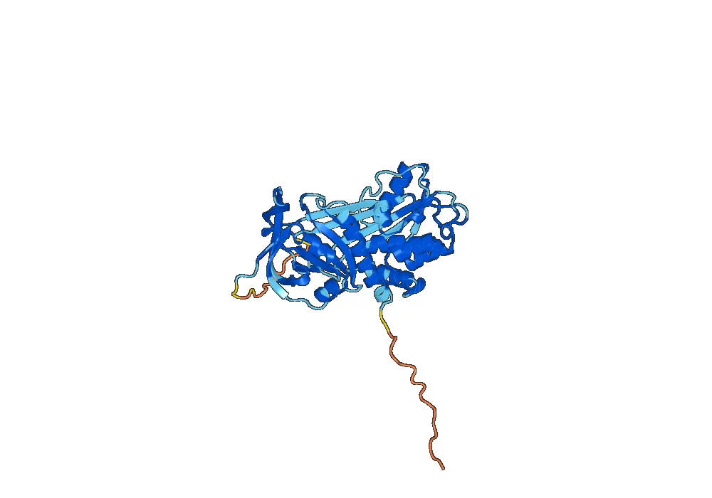 a1AT / Serpin A1 / SERPINA1, N-His, recombinant protein
