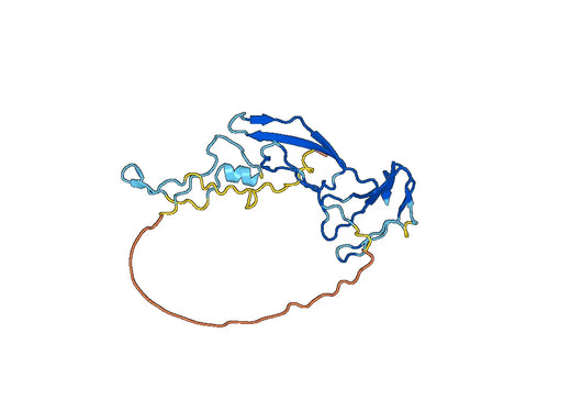 A2M, N-His, recombinant protein