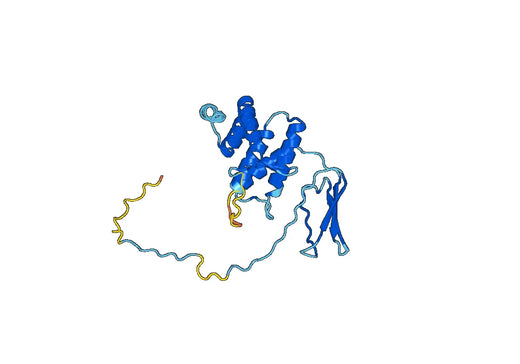 A2ML1, N-His, recombinant protein