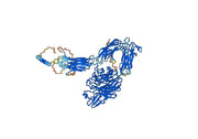 Abciximab Biosimilar - Anti-ITGA2B_ITGB3 mAb - Research Grade