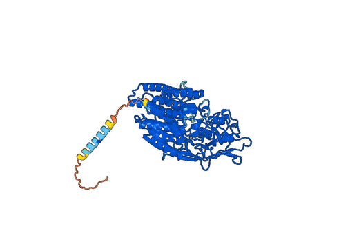 Acapatamab Biosimilar - Anti-FOLH1;CD3E mAb - Research Grade