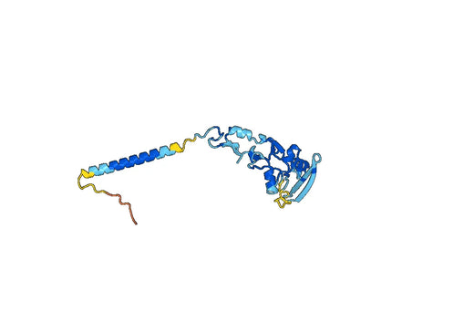 ADAM15, N-His, recombinant protein