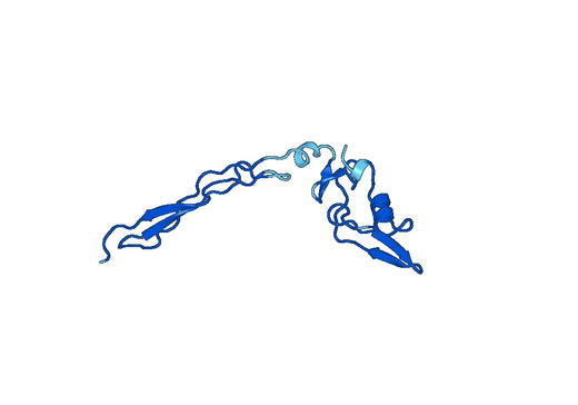 ADAMTS5, N-His, recombinant protein