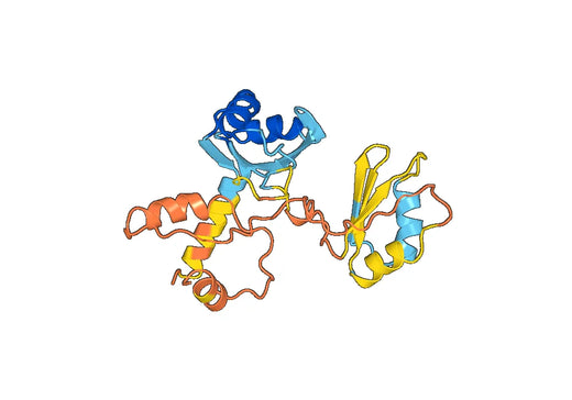 Aedes albopictus NIX, C-His, recombinant protein