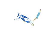 Afasevikumab Biosimilar - Anti-IL17A , IL17F mAb - Research Grade